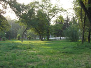 Shakhty city park in summer