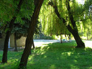 Shakhty city park
