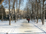 Shakhty town in winter