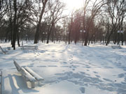 Shakhty in winter, city park