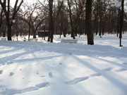 Winter landscape, Shakhty city park