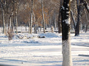 Зима в городе Шахты, городской парк культуры и отдыха