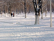 Зимний пейзаж в шахтинском городском парке культуры и отдыха